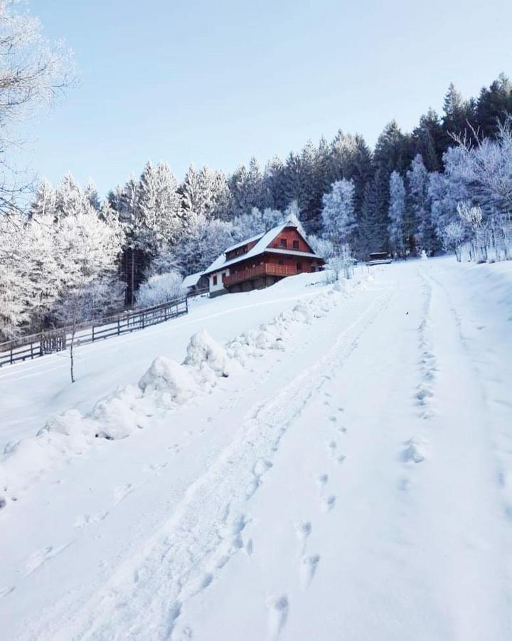 Vila Biofarma Na Luce Velké Karlovice Exteriér fotografie